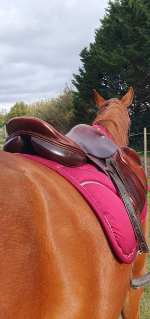 Sella da cross Eric Thomas  17.5" - 2013