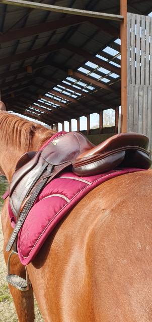 Sella da cross Eric Thomas  17.5" - 2013