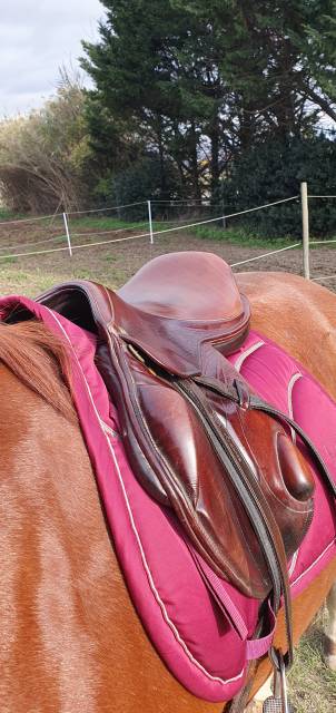 Sella da cross Eric Thomas  17.5" - 2013