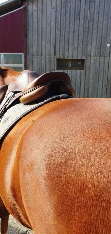 Sella da cross Devoucoux  17" - 2014