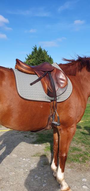 Sella da cross Devoucoux  17" - 2014