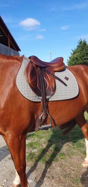 Sella da cross Devoucoux  17" - 2014