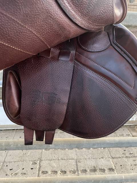 Sella da salto ostacoli CWD  17" - 2024