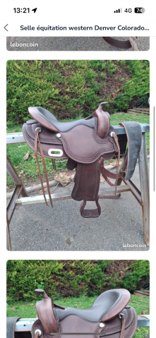 Sella western Colorado Springs  15" - 2022