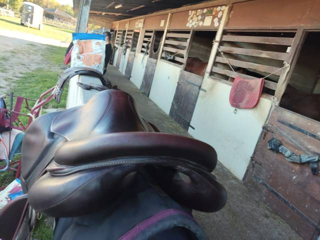 Sella da salto ostacoli Devoucoux  16.5" - 2020