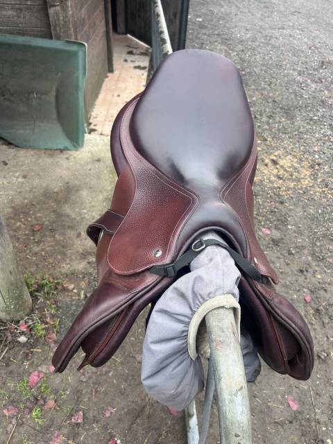 Sella da salto ostacoli Meyer  17" - 2021