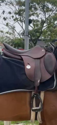 Sella da salto ostacoli Meyer  17" - 2021