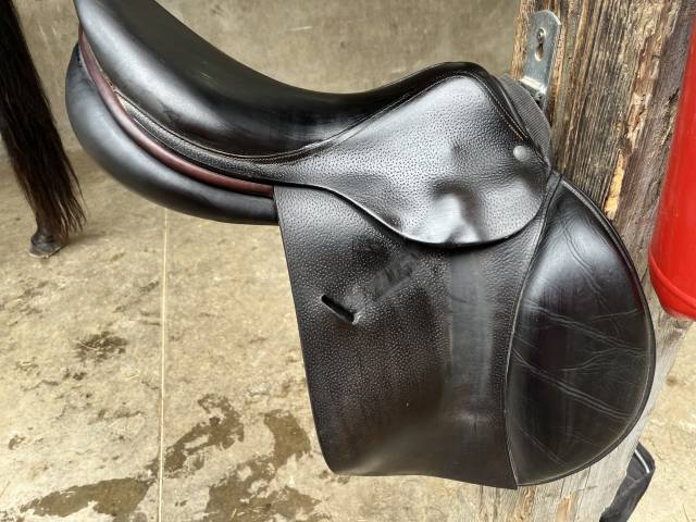 Sella mista Childeric Plus d infos en mp  17" - 2015