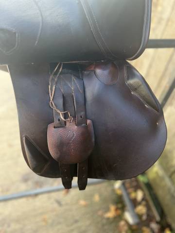 Sella da salto ostacoli Antarès  17.5" - 2018