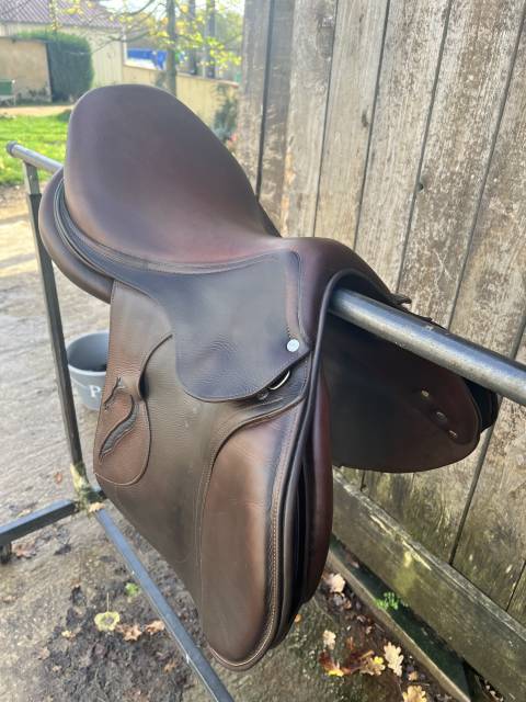 Sella da salto ostacoli Antarès  17.5" - 2018