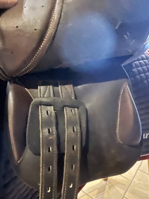 Sella da salto ostacoli  Guy Cantin  14.5" - 2021