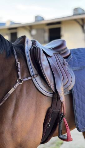 Sella da salto ostacoli CWD  17.5" - 2024