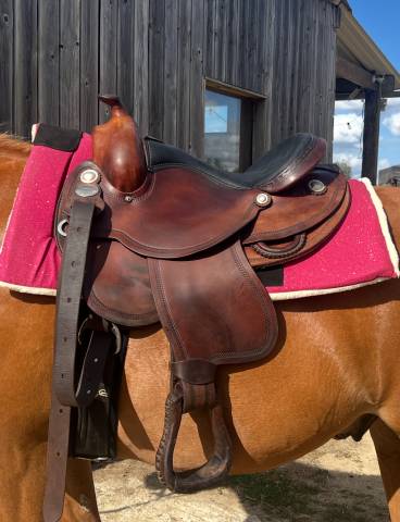 Sella western Continental Classic roundskirt 15.5" - 2020