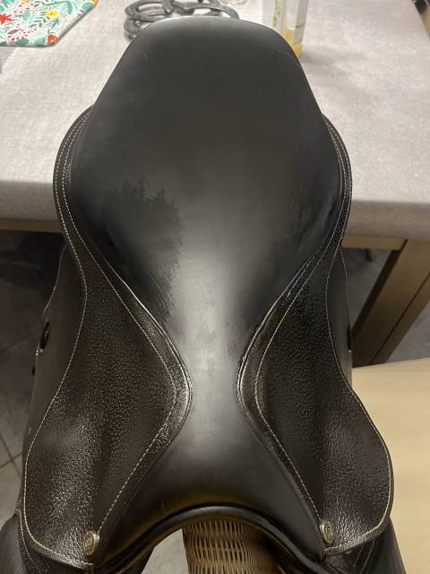 Sella mista Privilège Equitation  17.5" - 2020