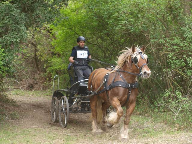 Attacchi - Marathon competizione - Altra marca -  