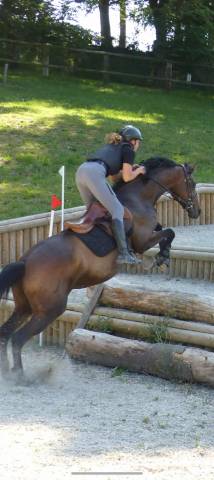 Sella mista Jump in One 17.5" - 2011