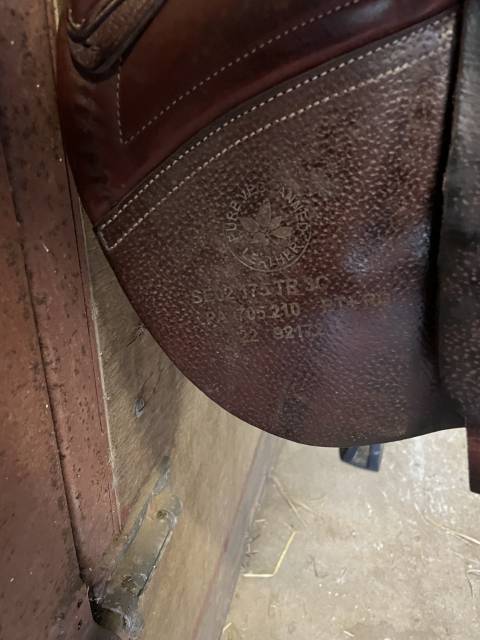 Sella da salto ostacoli CWD Se02  17.5" - 2022