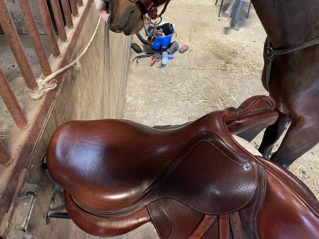 Sella da salto ostacoli CWD Se02  17.5" - 2022