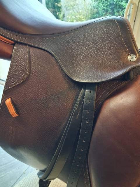 Sella mista CWD  17" - 2022