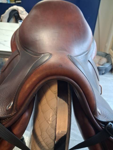 Sella mista CWD  17" - 2022