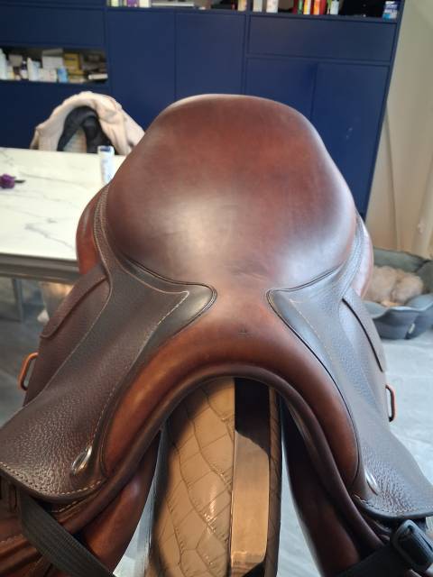 Sella mista CWD  17" - 2022