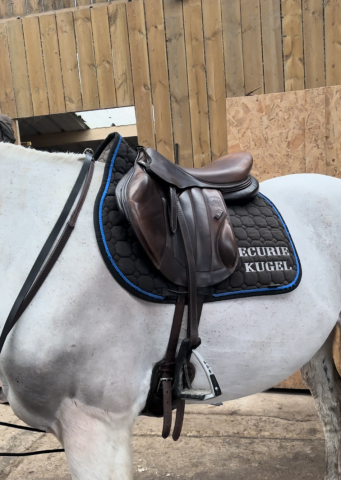 Sella mista Forestier  17" - 2023