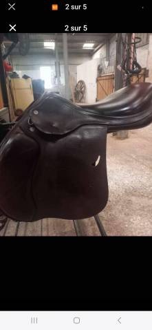 Sella da salto ostacoli Equipe  17.5" - 2020