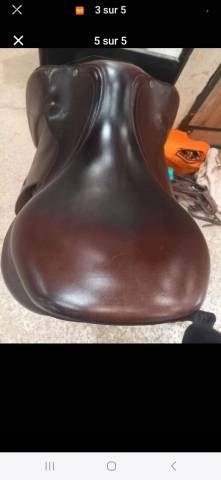 Sella da salto ostacoli Equipe  17.5" - 2020