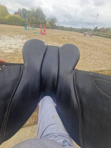 Sella mista GBS  16.5" - 2023