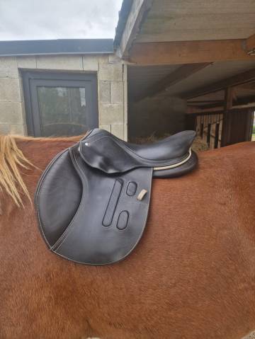 Sella mista GBS  16.5" - 2023