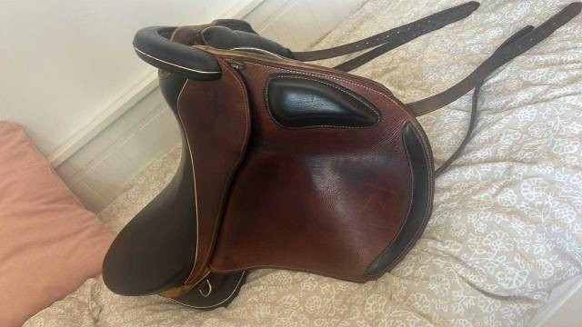 Sella da endurance Sommer  17.5" - 2020