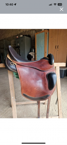 Sella da endurance Sommer  17.5" - 2020