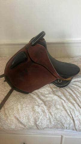 Sella da endurance Sommer  17.5" - 2020