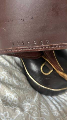 Sella da endurance Sommer  17.5" - 2020