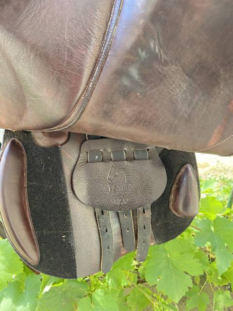 Sella da salto ostacoli   17.5" - 2010