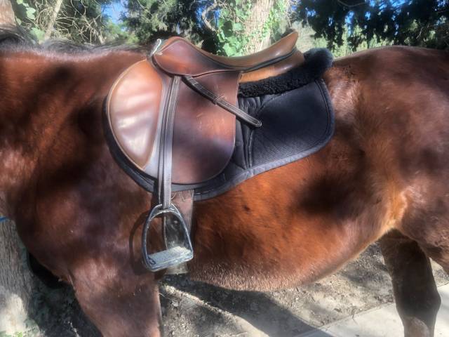 Sella da salto ostacoli Devoucoux Biarritz 18" - 2020