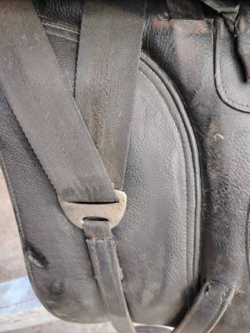 Sella dressage 
