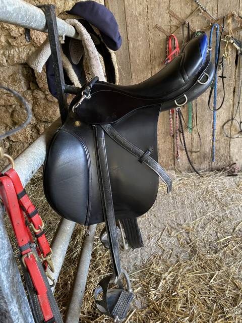 Sella da endurance Prestige Italia Endurance 2 17.5" - 2017