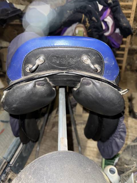 Sella da endurance Prestige Italia Endurance 2 17.5" - 2017