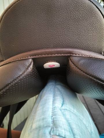 Sella mista Wintec  17" - 2025