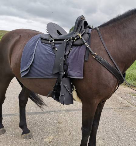 Sella da trekking  Mac Lellan 17" - 2023