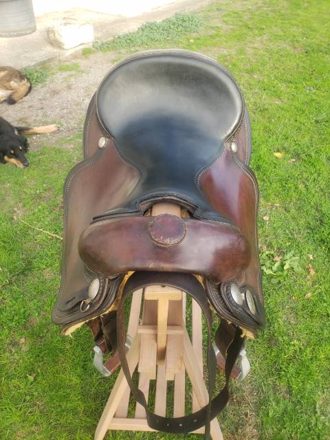 Sella western   16" - 2020