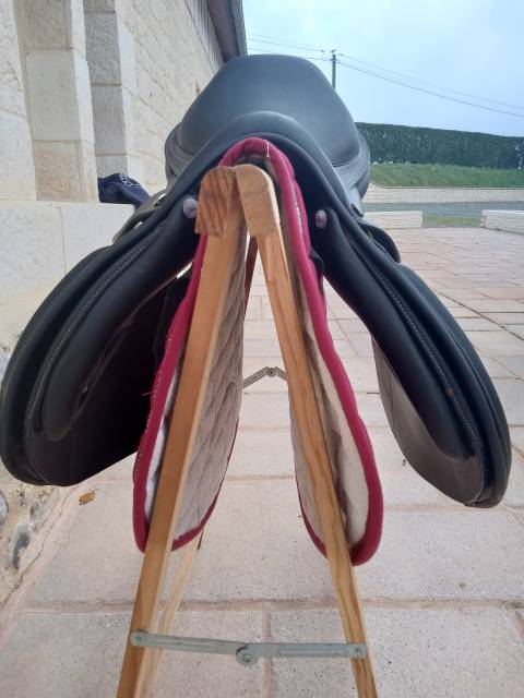 Sella mista Privilège Equitation  17" - 2025