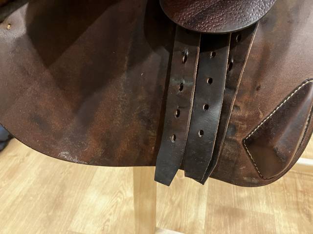 Sella da salto ostacoli Antarès  17.5" - 2024