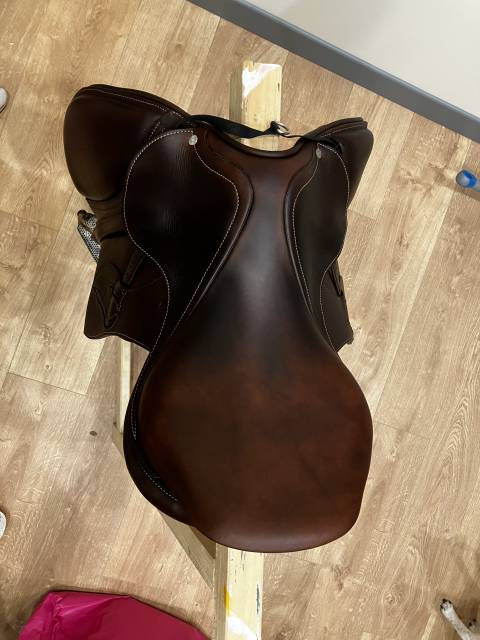 Sella da salto ostacoli Antarès  17.5" - 2024