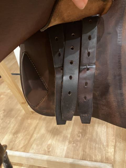 Sella da salto ostacoli Antarès  17.5" - 2024