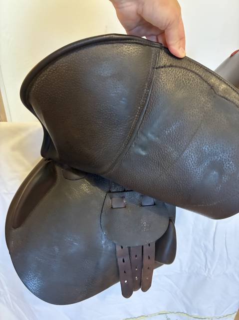 Sella mista Equipe  18" - 2022