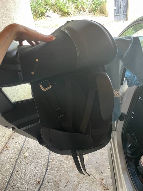 Sella da dressage Wintec Isabell Cair 17" - 2017