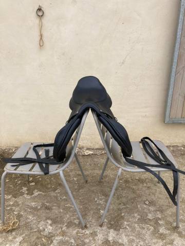 Sella mista Forestier  17" - 2014