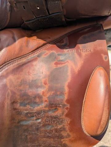 Altra sella   17" - 2023